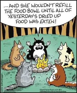 refill the food bowl