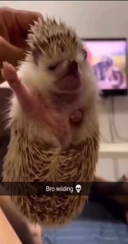 Screenshot_20230623_205912_WhatsApp