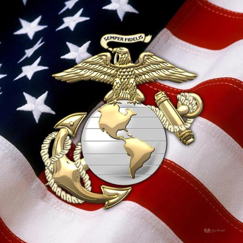 us-marine-corps-usmc-eagle-globe-and-anchor-over-american-flag-serge-averbukh