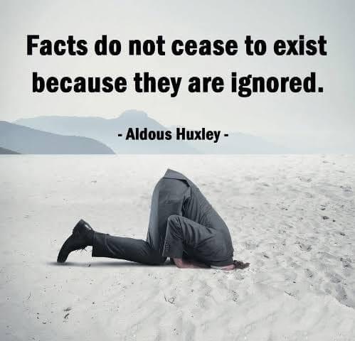 1686667641.1929479
