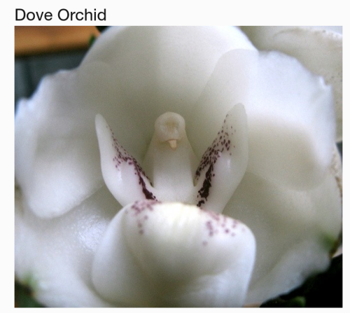 Screenshot_2023-05-27-18-46-55_kindlephoto-1060353692