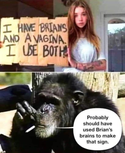 355688149_281861207833775_8086449113933093720_n