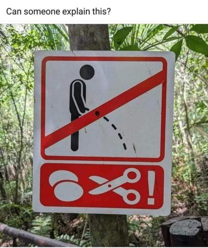 FB_IMG_1686678500284