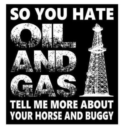 your  horse and  buggy