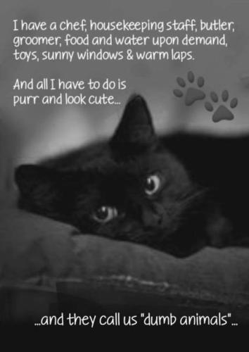 346850940_1627508477726790_9052656896013586063_n