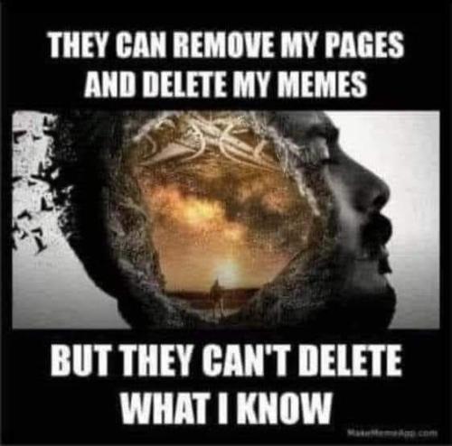 FB_IMG_1687018382995
