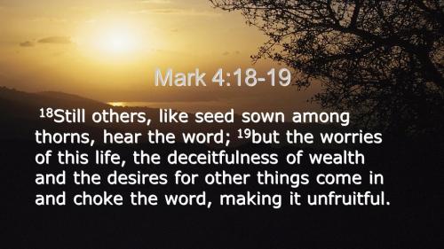Mark 4_18-19