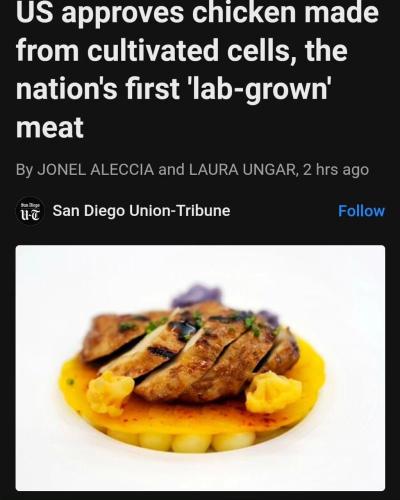 photo_2023-06-21_19-12-23