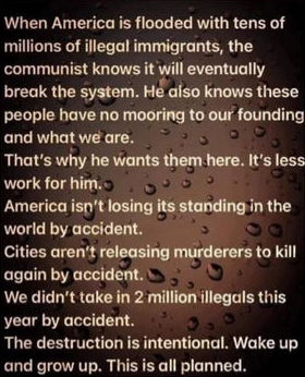 illegal immigration335
