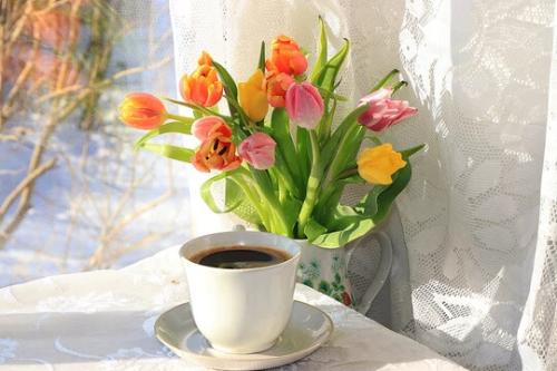 360_F_253849474_B2nIK5rWtCHDuDyiTxSt7VrAuo0Miuaj