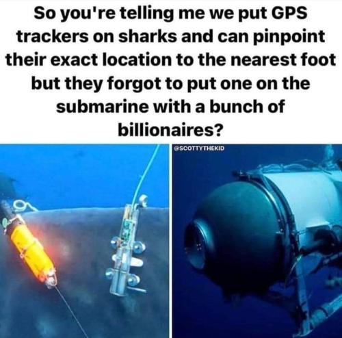 FB_IMG_1687529690302