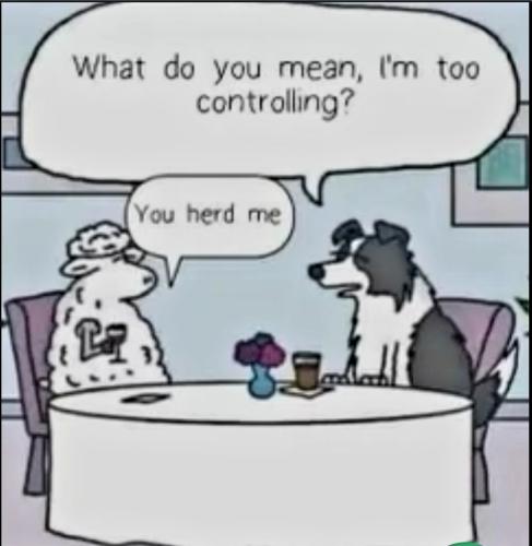 Screenshot_20230601_195757_Chrome