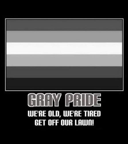 gray_pride_flag