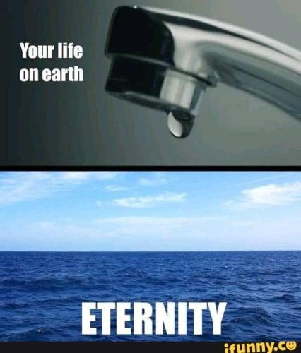 3426b4ee-1c66-4205-9334-c4d91c431e3a