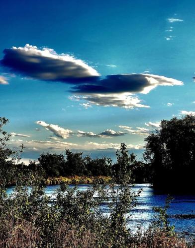 347423039_6733517860014259_6129200023409365553_n