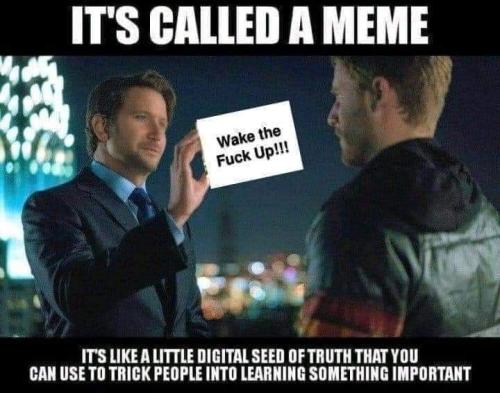 its called a meme