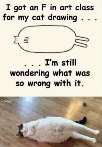 352283414_1309505472992956_5853788501612256958_n