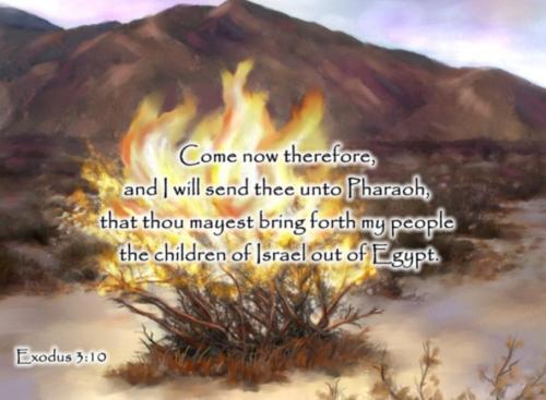 7c727b6a-8cea-4b1e-a67c-c5346bfc62c4