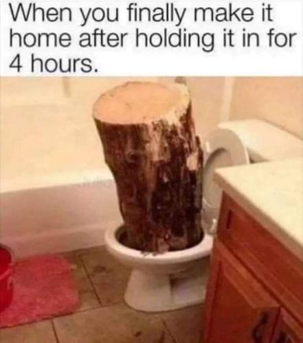 FB_IMG_1686935417606