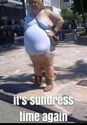 352285698_262290976477210_140380033445411007_n