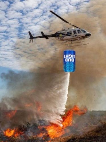 Pissing in the wind Bud Light