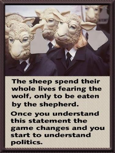 FB_IMG_1687976252696