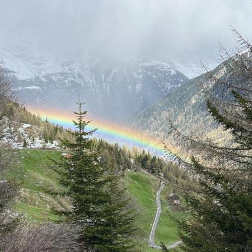 648ce651-76d5-4844-b5dc-e35d6d82dc8f