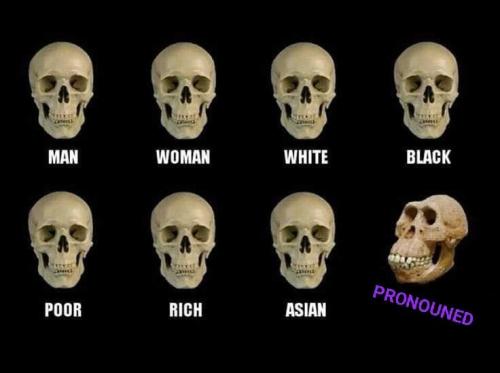 88034f7a-f5e1-4e02-875c-7ffec5c7f6b9
