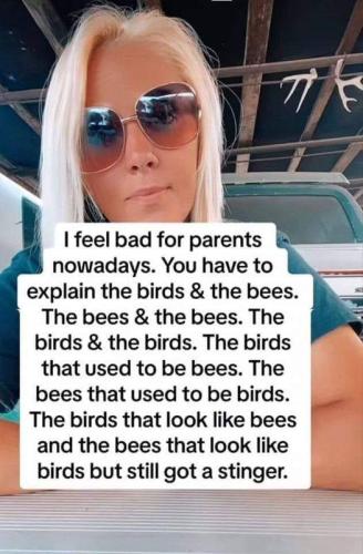 birds & bees