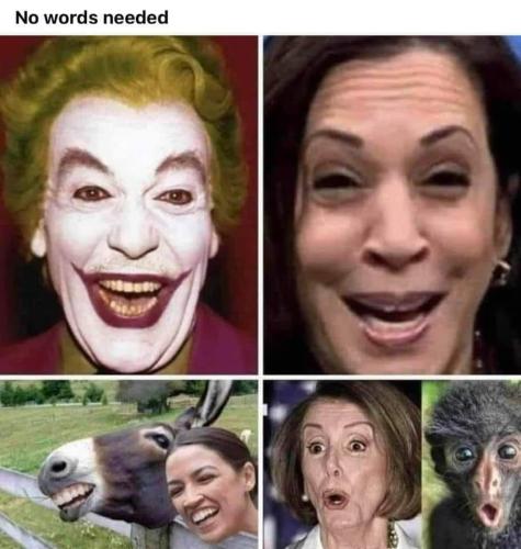 356209798_1388405645392645_6948561832534058433_n