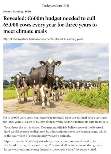 IMG_20230602_191058_643