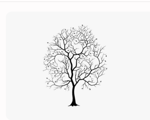 Screenshot_20230622-155802~2