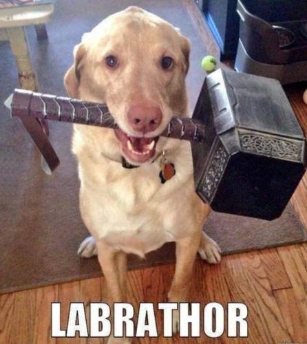 356905705_191309773889666_1357183724621799231_n