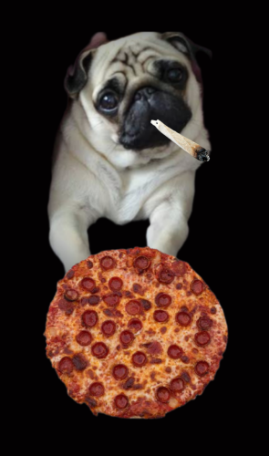 Polish_20230606_161715993