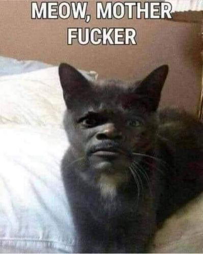 FB_IMG_1686624398724