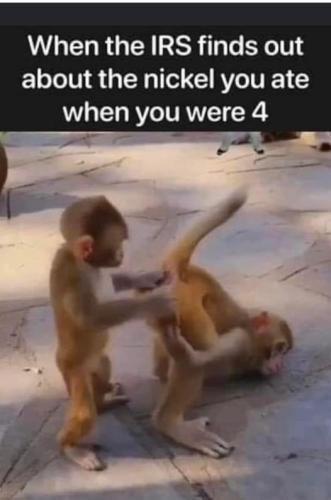 355474956_639152294796895_1163039632492373021_n