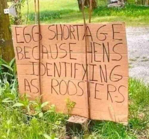 FB_IMG_1687630170040