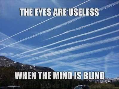the eyes are useless