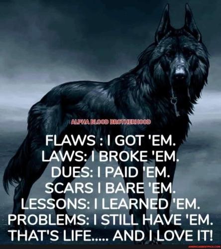 FB_IMG_1688165009717