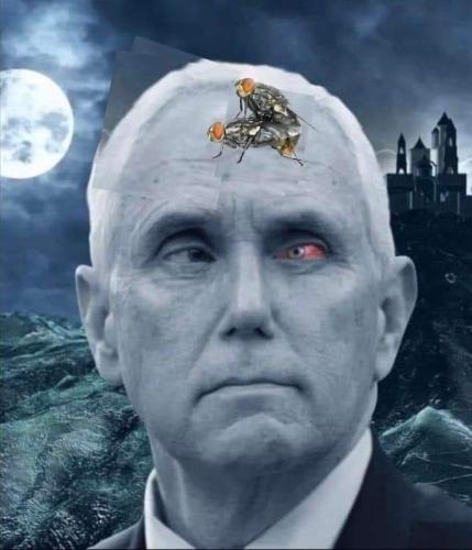 FB_IMG_1686084822447