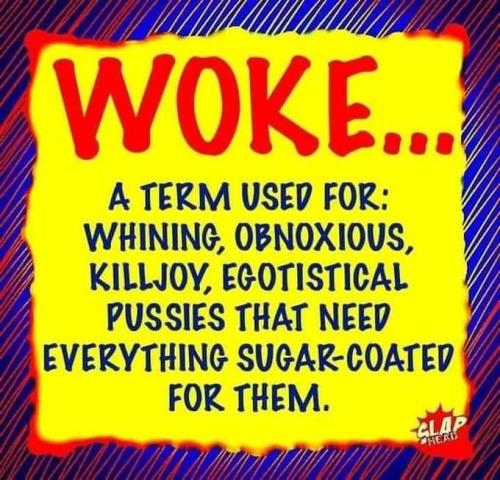 woke term