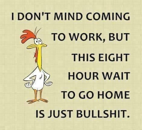 353833316_6902555736441345_7600072773771881970_n