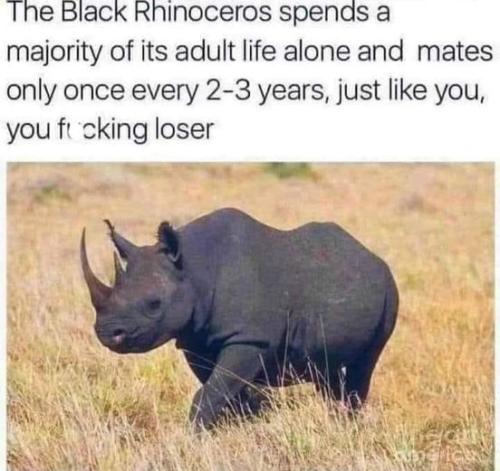 355480524_3390708617906141_7631267828319145513_n