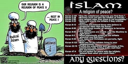 Religion of Peace - NOT. ANY QUESTIONS