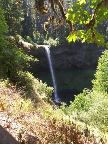 353434106_305455085164648_7246276502467322412_n