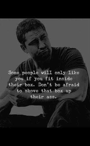 don't be afraid to shove it up their ass