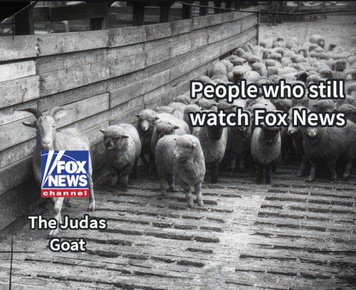 judasgoatfoxnews