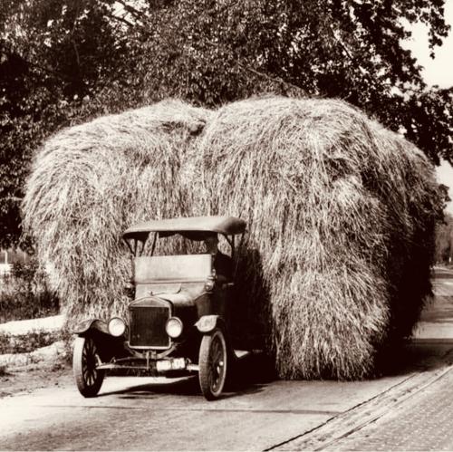 54D53F22-B803-4E71-BE06-03538964966E