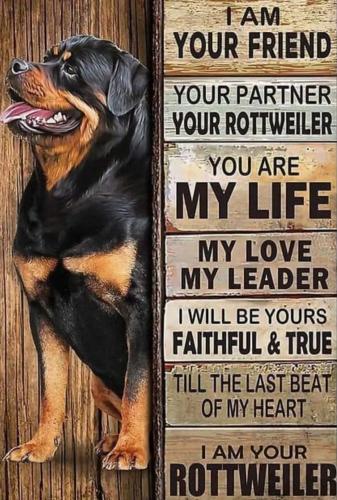 Screenshot_20230529-204621