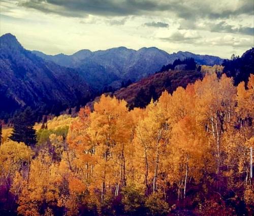 6095F117-5C29-458E-BAF3-FBF7FED9FB3E